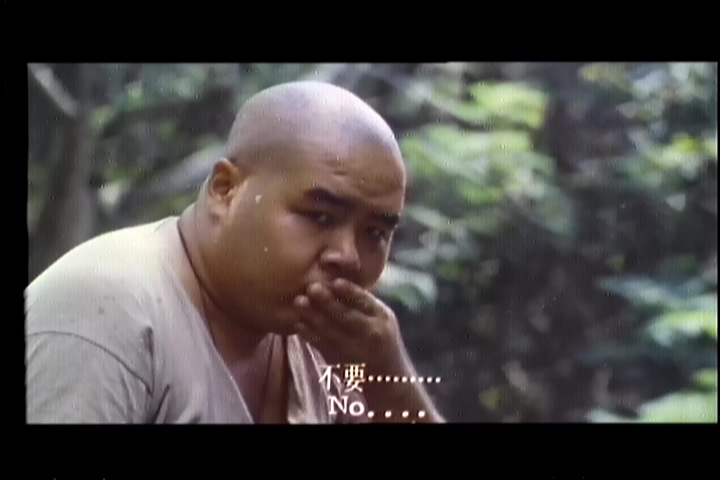 【1980】【山狗】【郑则仕】【ld-2dvd5/6.